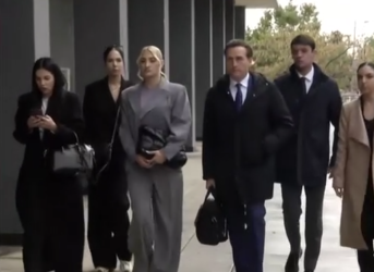 Λάβρος ο Δημητρακόπουλος για τη σύλληψη της Ιωάννας Τούνη: «Να πω συγχαρητήρια στον Μ. Χρυσοχοΐδη»