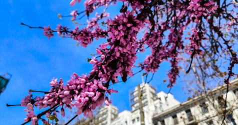 Σκέτη απογοήτευση ο καιρός το Πάσχα 2026 – Ανατροπή στην πρόγνωση