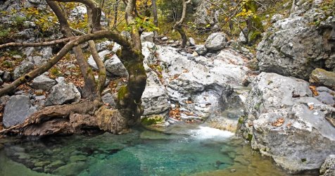 Θρίλερ στην Εύβοια: Επιχείρηση διάσωσης για 8 άτομα στο φαράγγι της Αγάλης