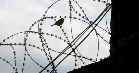 Συνελήφθησαν οι δραπέτες των φυλακών Κασσαβέτειας μετά από απόπειρα ληστείας στο Θέρμο