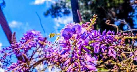 «Ανατροπή καιρού αύριο: Βροχές, αφρικανική σκόνη και θερμοκρασίες έως 28 βαθμούς!»