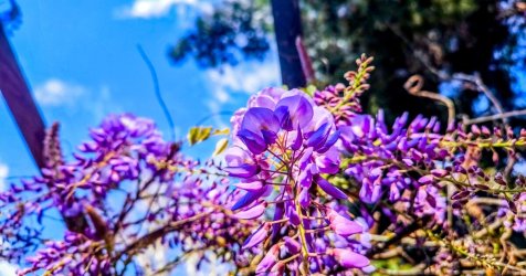 «Ανατροπή και Άνοιξη: Η Θερμοκρασία Σκαρφαλώνει, Φέρνοντας την Άνοιξη το Σαββατοκύριακο!»