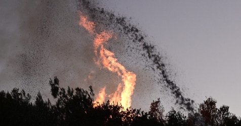 Φωτιά στην Ακράτα: Μεγάλη κινητοποίηση της Πυροσβεστικής στην Άμπελο