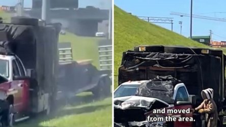 Τενεσί: Φορτηγό με ένα εκατ. μέλισσες ανετράπη σε αυτοκινητόδρομο (Βίντεο)