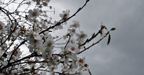 Καιρός: «Έχουμε ακόμη δρόμο» – Η προειδοποίηση Μαρουσάκη και η… φθινοπωρινή αλλαγή