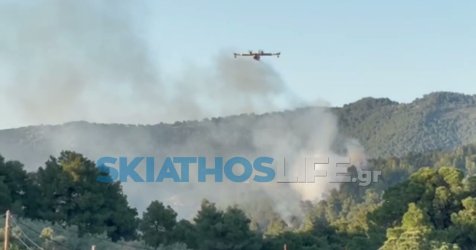 Φωτιά στη Σκιάθο: Καλύτερη εικόνα στον Πλατανιά, συνδράμουν υδροφόρες του δήμου