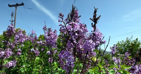 Ανατροπή με τον καιρό το Σαββατοκύριακο – Η νέα πρόγνωση