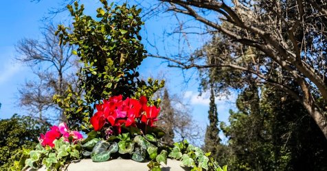 «Αθήνα την Πρωτομαγιά: Ανακαλύψτε τα καλύτερα μέρη για να υποδεχθείτε τον Μάη!»