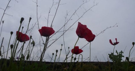 Καιρός – Πρωτομαγιά 2026: Ψυχρή εισβολή «χαλάει» τα σχέδια για το τριήμερο