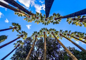 Κλέαρχος Μαρουσάκης: Έρχεται Καύσωνας μετά την Πρωτομαγιά!