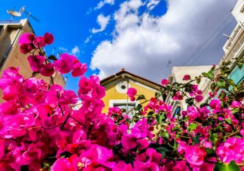 «Κλείδωσε» καιρός του Αγίου Πνεύματος – Τι δείχνουν τα στοιχεία για το τριήμερο