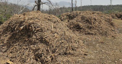 Ακαθάριστα οικόπεδα: Εκπνέει η προθεσμία – Πρόστιμα έως 5.000 ευρώ