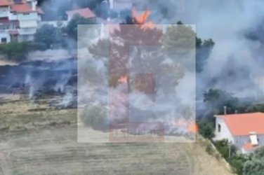 89χρονος συλληφθείς για την πυρκαγιά στο Κρυονέρι: Έκαιγε κλαδιά και προκάλεσε πανικό