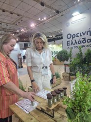Άννα Καραμανλή: «Αυτό είναι το μέλλον που θέλουμε για τον ελληνικό τουρισμός»