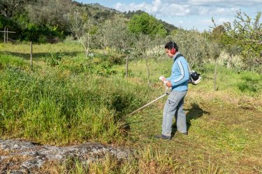 Ακαθάριστα οικόπεδα: Λήγει η υποβολή στο akatharista.apps.gov.gr – Τα βαριά πρόστιμα