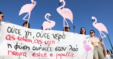 Συγκέντρωση διαμαρτυρίας στο Σύνταγμα από Αλβανούς μετανάστες κατά του «πρότζεκτ Κούσνερ» (εικόνες, βίντεο)