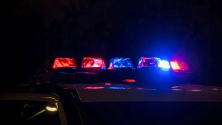 Σοκ στην Τσεχία: Μητέρα σκότωσε το νεογέννητο μωρό της και το έδωσε σε σκυλιά!