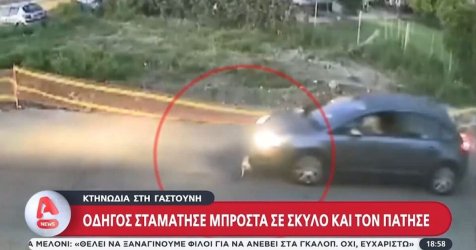 Γαστούνη: 3.000 ευρώ η αμοιβή για πληροφορίες σχετικά με τον οδηγό που πάτησε σκύλο!