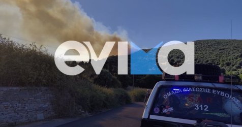 Φωτιά στην Εύβοια: «Στο ένα χιλιόμετρο από τα χωριά οι φλόγες, δύσκολη μάχη όλη τη βραδιά»