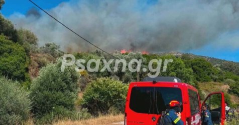 Φωτιά στην Εύβοια: Ενισχύθηκαν οι δυνάμεις της Πυροσβεστικής – Εκκενώνονται Μεσοχώρια και Ραπταίοι (Εικόνες, Βίντεο)