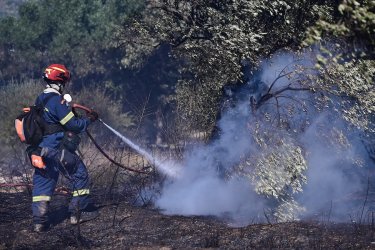 Συναγερμός για εφιαλτικό Σαββατοκύριακο με πολύ υψηλό κίνδυνο για φωτιές: Οι «πορτοκαλί» περιοχές – Πότε κοπάζουν οι άνεμοι