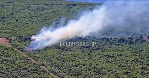 Φωτιά στη Βοιωτία: Δύο μέτωπα σε Άγιο Βασίλειο και Πέτρα – Μήνυμα 112 για εκκένωση (Εικόνες, βίντεο)