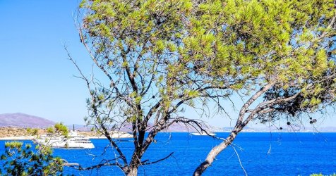 Καιρός: 37άρια στα ηπειρωτικά και θυελλώδεις άνεμοι έως 8 μποφόρ στο Αιγαίο αύριο