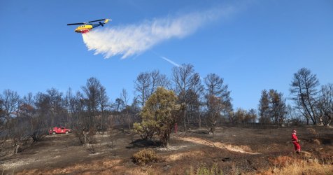 Σε ύφεση η φωτιά στην Κορινθία: Ήχησε το 112 για το Αμμόνι – Κινητοποιήθηλαν αεροσκάφη και ελικόπτερα (Βίντεο)