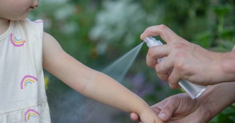 Τα καλύτερα αντικουνουπικά: Οι μυρωδιές που ελκύουν τα κουνούπια
