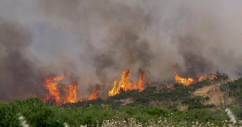 Φωτιά στη Φθιώτιδα: Μέτωπο έξι χιλιομέτρων απείλησε οικισμούς – Ζημιές σε σπίτια (Βίντεο, εικόνες)