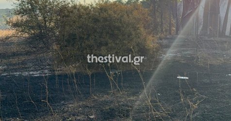 Φωτιά στη Χαλκιδική: Οριοθετήθηκε το μέτωπο στη Νέα Καλλικράτεια – 60 πυρκαγιές σε ένα 24ωρο