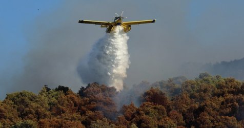Φωτιά στην Οινόη: Βελτιωμένη η εικόνα – Εξετάζεται μαρτυρία για τσιγάρο από διερχόμενο όχημα