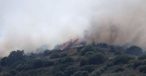 Μεγάλη φωτιά στον Αργυρόμυλο Λάρισας – Επιχειρούν 90 πυροσβέστες, 7 εναέρια
