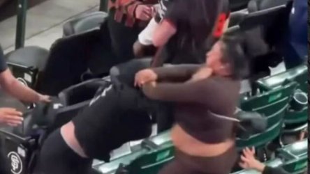 Καβγάς σε αγώνα μπέιζμπολ: Χάος με γροθιές, σπρωξίματα και γενική σύρραξη στις εξέδρες (Βίντεο)