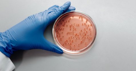 Πολλά κρούσματα σαλμονέλας στη Λαμία: Έφαγαν σε διάφορα μαγαζιά της πόλης