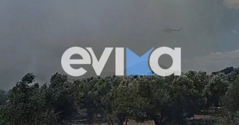 Μεγάλη φωτιά στην Εύβοια: Μήνυμα 112 – «Εκκενώστε προς Αλιβέρι»