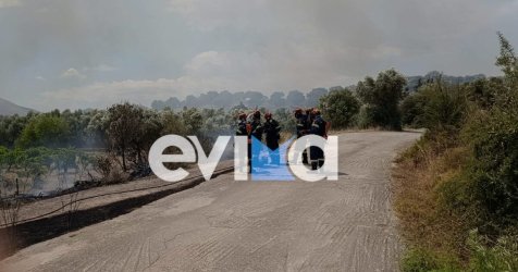 Χωρίς ενεργό μέτωπο η φωτιά στο Αλιβέρι Ευβοίας