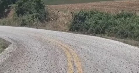 Οι… 10 πληγές του Φαραώ στη Β. Ελλάδα: Ακρίδες σε αυλές και δρόμους – Βίντεο