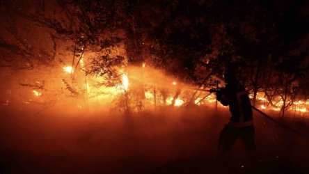 Γαλλία: Ο Μακρόν καλεί τον στρατό να συνδράμει “στο μέγιστο βαθμό” στη μάχη με τις πυρκαγιές – Νέες εκκενώσεις κοντά στο Μπορντό