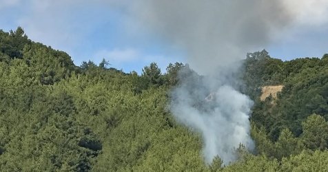 Φωτιά τώρα στους Λογγάδες Ιωαννίνων κοντά σε κατοικίες