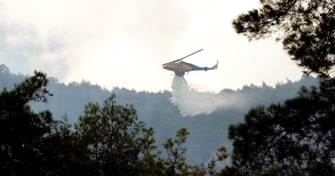 Φωτιά σε δασική έκταση στον Άγιο Δημήτριο Κοζάνης
