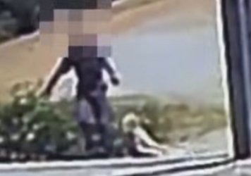 Φρίκη στο Άστρος Κυνουρίας: Συνελήφθη ο άνδρας που πέταξε τον νεκρό σκύλο με σύρμα στον λαιμό σε κάδο