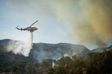 Φωτιά στη Φωκίδα: Μήνυμα 112 για ετοιμότητα σε τρεις περιοχές
