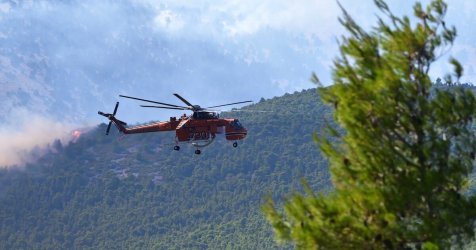 Φωτιά στο Πόρτο Γερμενό: «Έγινε στάχτη ο καλύτερος πνεύμονας της Αττικής», λένε οι κάτοικοι
