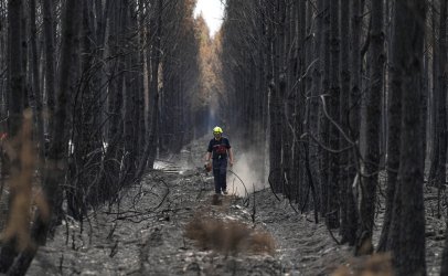 Στοιχεία – «κόλαφος» για τη φωτιά στη Βοιωτία: Κρατείται ο Δήμαρχος Στυλίδας, αναζητείται γνωστός επιχειρηματίας