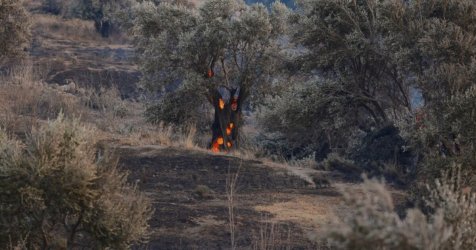LIVE: Αισιοδοξία μετά από 5 μέρες μάχης στην Αττική – «Η φωτιά μπορεί να καίει υπόγεια για μήνες»