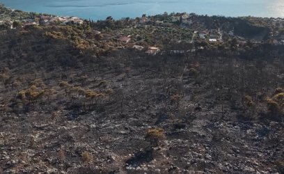 Μόνο λίγο πράσινο απέμεινε στο Πόρτο Γερμενό: Ξεκίνησαν οι καταγραφές ζημιών – Βίντεο από drone
