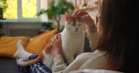 Παγκόσμια Ημέρα Γάτας: 8 μύθοι που καταρρίφθηκαν για τα υπέροχα τετράποδα