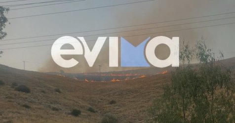 Συναγερμός στην Πυροσβεστική για διπλό πύρινο μέτωπο στην Εύβοια