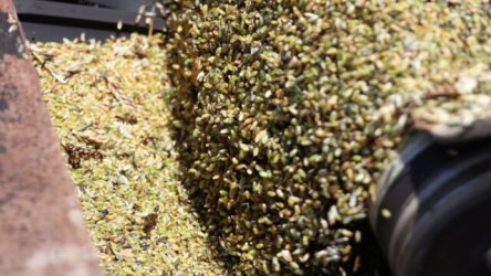 Ρωσία: Ανέστειλε τη λειτουργία του ο μεγαλύτερος θαλάσσιος τερματικός σταθμός σιτηρών